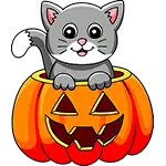 Halloween Katze